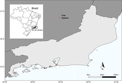 Could anthropic pressures drive the burrowing behavior of sandy beaches species? An investigation on Atlantorchestoidea brasiliensis (Amphipoda: talitridae)